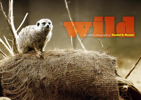 The Wild: Wildlife Photography of Daniel S. Razon coffee table book design by Mr. Jocas A. See